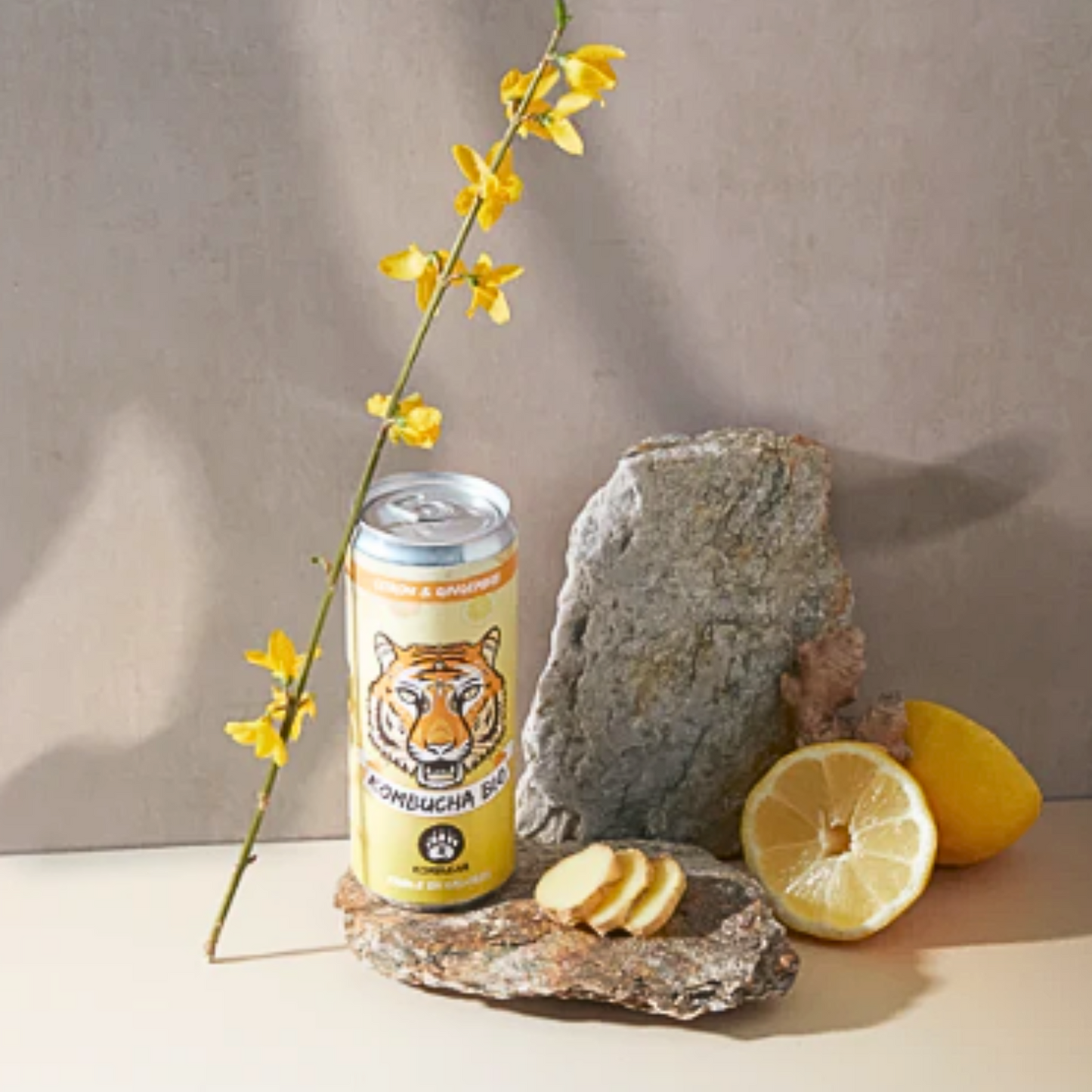 Kombucha, citron, gingembre, canette, boisson pétillante, faible en calories, bio