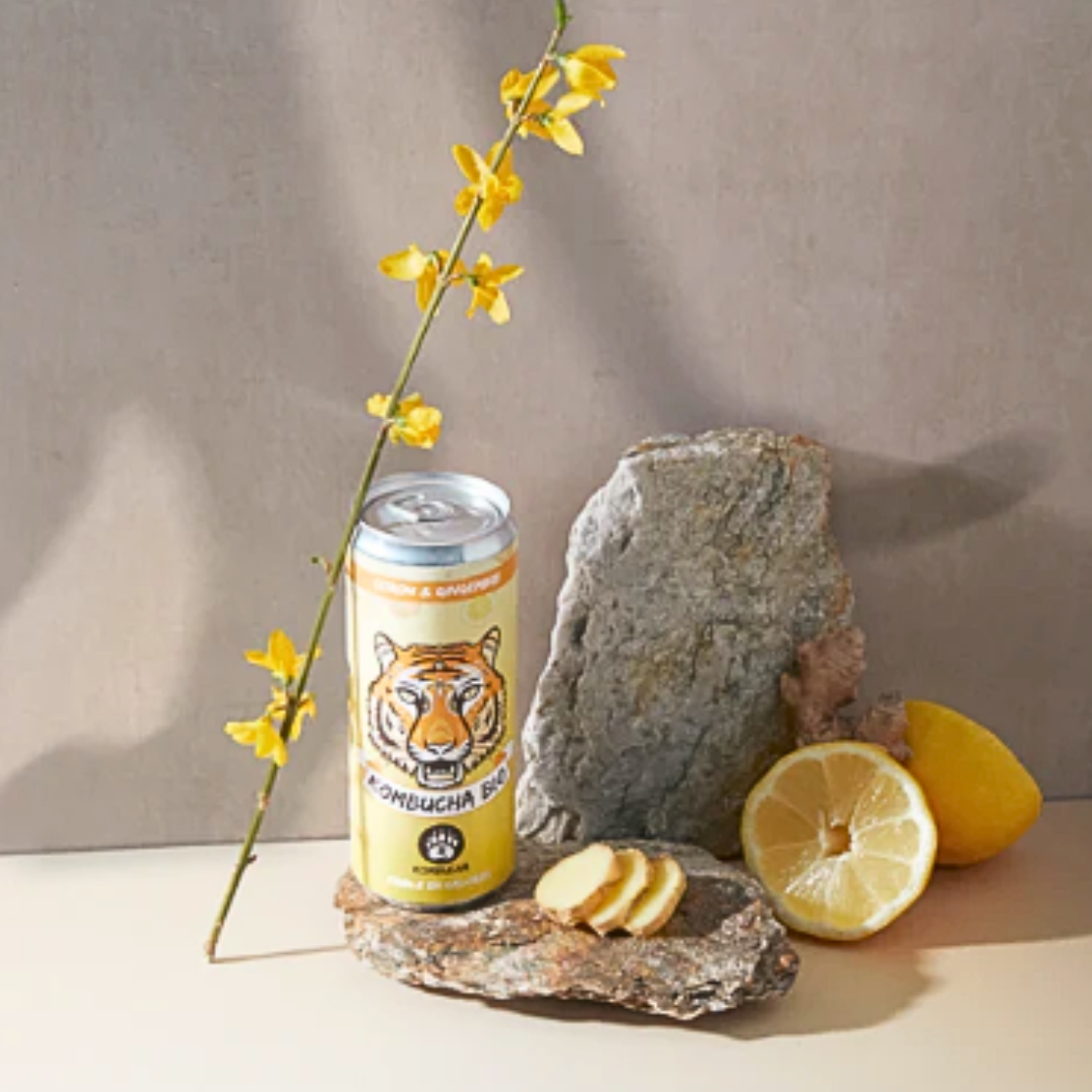 Kombucha, citron, gingembre, canette, boisson pétillante, faible en calories, bio